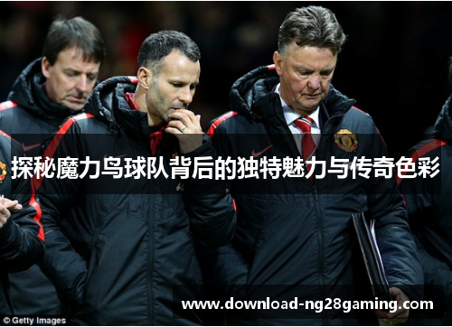 探秘魔力鸟球队背后的独特魅力与传奇色彩