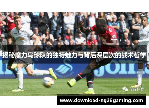 揭秘魔力鸟球队的独特魅力与背后深层次的战术哲学